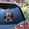 American Pitbull Terrier Crack Sticker Chart Lovable Car Bumper Stickers Gift Ideas For Men