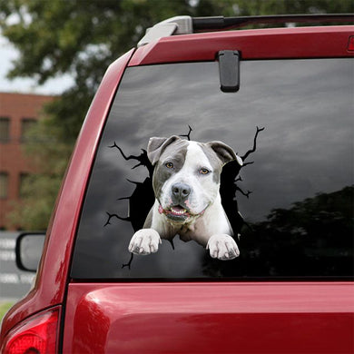 [dt0524-snf-tnt]-american-pitbull-terrier-crack-car-sticker-dogs-lover