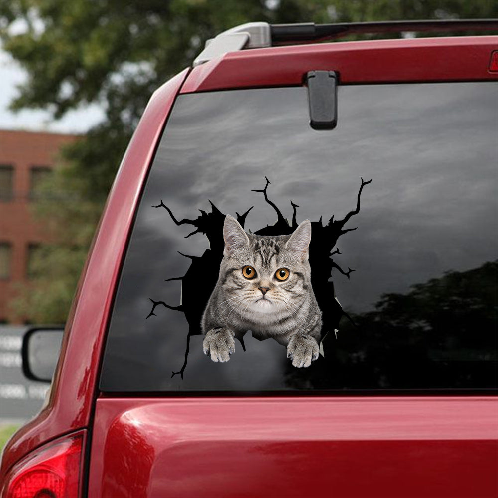 [dt0545-snf-tnt]-british-shorthair-cat-crack-car-sticker-cats-lover