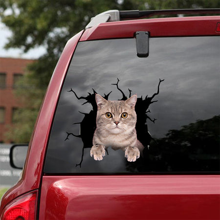 [dt0546-snf-tnt]-british-shorthair-cat-crack-car-sticker-cats-lover