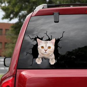 [dt0547-snf-tnt]-british-shorthair-cat-crack-car-sticker-cats-lover