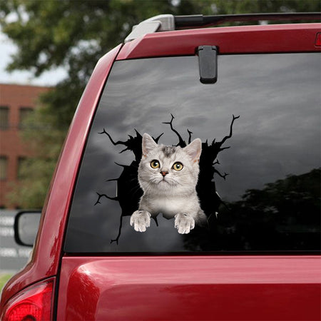 [dt0548-snf-tnt]-british-shorthair-cat-crack-car-sticker-cats-lover