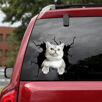 [dt0549-snf-tnt]-british-shorthair-cat-crack-car-sticker-cats-lover