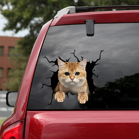 [dt0551-snf-tnt]-british-shorthair-cat-crack-car-sticker-cats-lover
