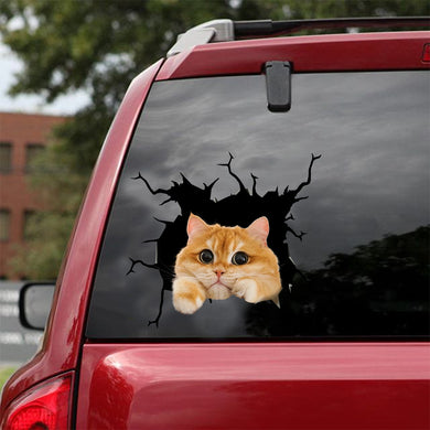 [dt0552-snf-tnt]-british-shorthair-cat-crack-car-sticker-cats-lover