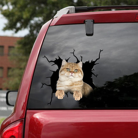 [dt0553-snf-tnt]-british-shorthair-cat-crack-car-sticker-cats-lover