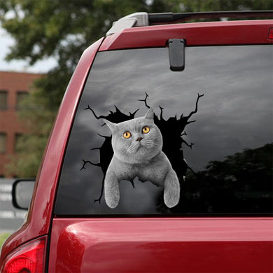 [dt0554-snf-tnt]-british-shorthair-cat-crack-car-sticker-cats-lover