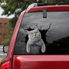 [dt0554-snf-tnt]-british-shorthair-cat-crack-car-sticker-cats-lover