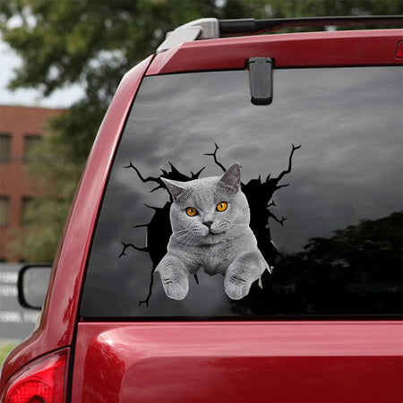 [dt0555-snf-tnt]-british-shorthair-cat-crack-car-sticker-cats-lover