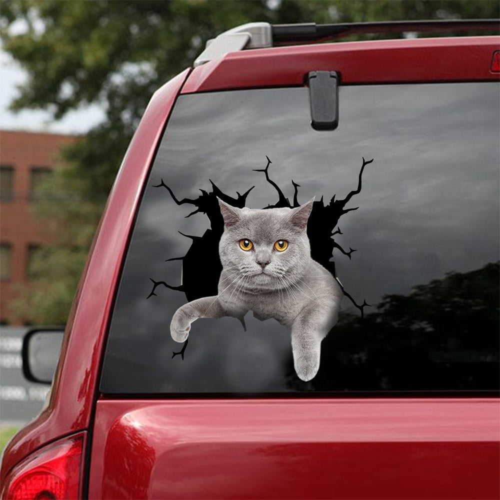 [dt0556-snf-tnt]-british-shorthair-cat-crack-car-sticker-cats-lover