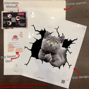 British Shorthair Cat Crack Bone Sticker Humor Transfer Stickers Birthday Gifts For Best Friend