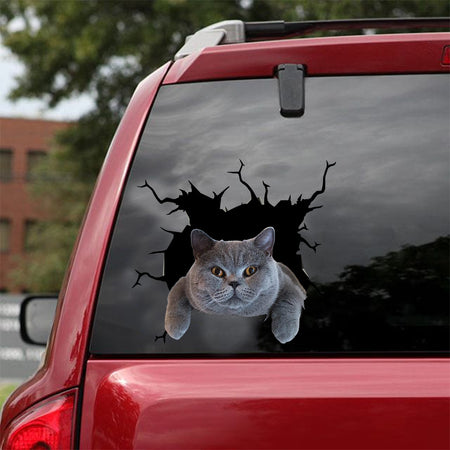 [dt0560-snf-tnt]-british-shorthair-cat-crack-car-sticker-cats-lover
