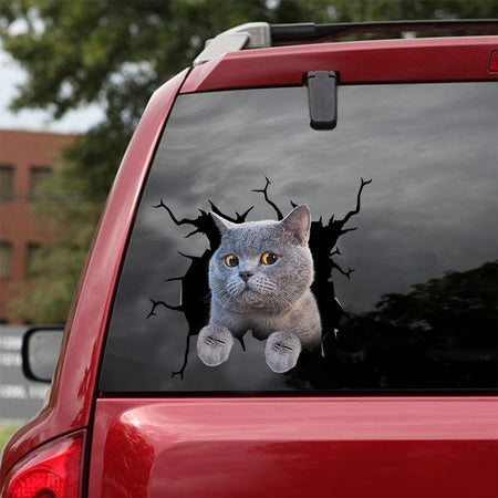 [dt0561-snf-tnt]-british-shorthair-cat-crack-car-sticker-cats-lover