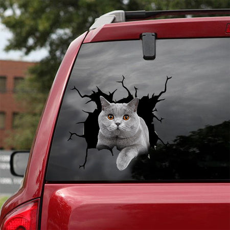 [dt0562-snf-tnt]-british-shorthair-cat-crack-car-sticker-cats-lover