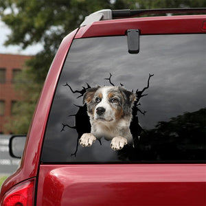 [dt0564-snf-tnt]-australian-shepherd-cat-crack-car-sticker-dogs-lover