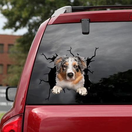 [dt0565-snf-tnt]-australian-shepherd-cat-crack-car-sticker-dogs-lover