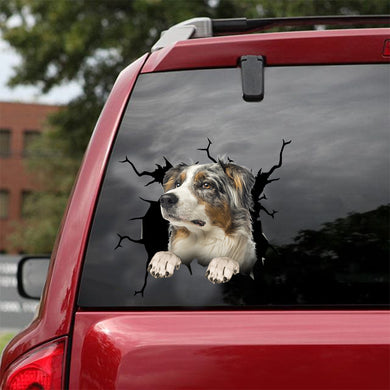 [dt0566-snf-tnt]-australian-shepherd-cat-crack-car-sticker-dogs-lover