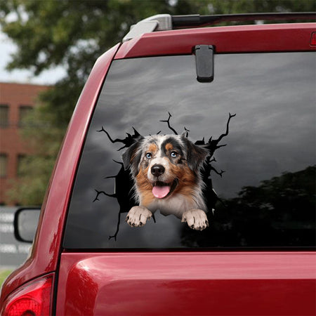 [dt0567-snf-tnt]-australian-shepherd-cat-crack-car-sticker-dogs-lover