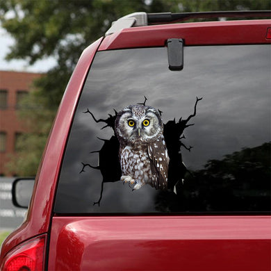 [dt0569-snf-tnt]-owl-crack-car-sticker-birds-lover