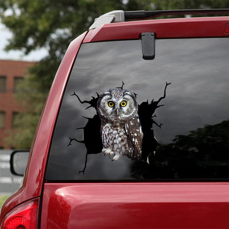 [dt0569-snf-tnt]-owl-crack-car-sticker-birds-lover