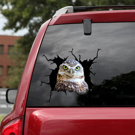 [dt0570-snf-tnt]-owl-crack-car-sticker-birds-lover