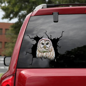 [dt0571-snf-tnt]-owl-crack-car-sticker-birds-lover