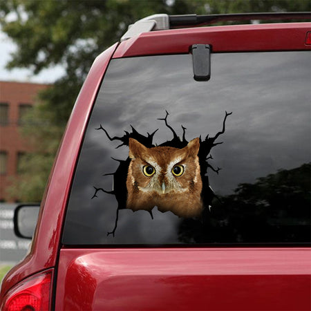 [dt0572-snf-tnt]-owl-crack-car-sticker-birds-lover
