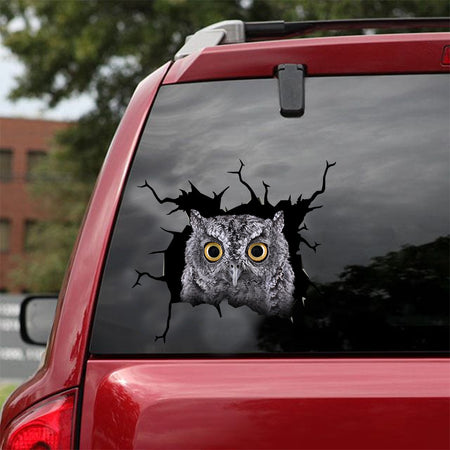 [dt0573-snf-tnt]-owl-crack-car-sticker-birds-lover