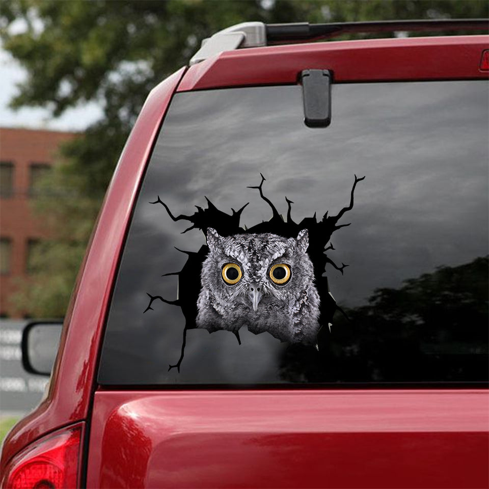 owl crack car sticker birds lover – Camellia Print