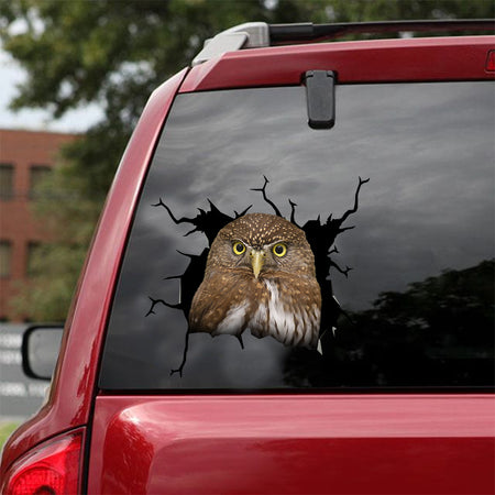 [dt0574-snf-tnt]-owl-crack-car-sticker-birds-lover