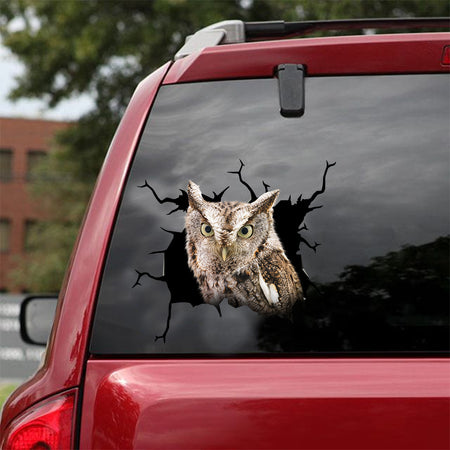 [dt0575-snf-tnt]-owl-crack-car-sticker-birds-lover