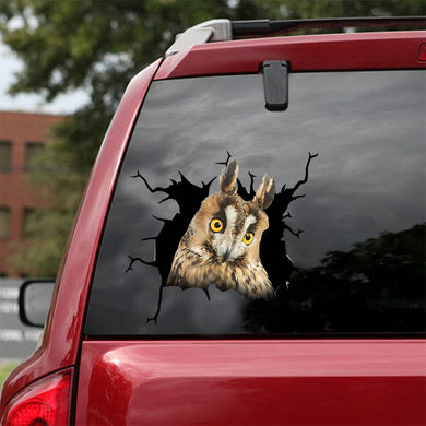[dt0577-snf-tnt]-owl-crack-car-sticker-birds-lover