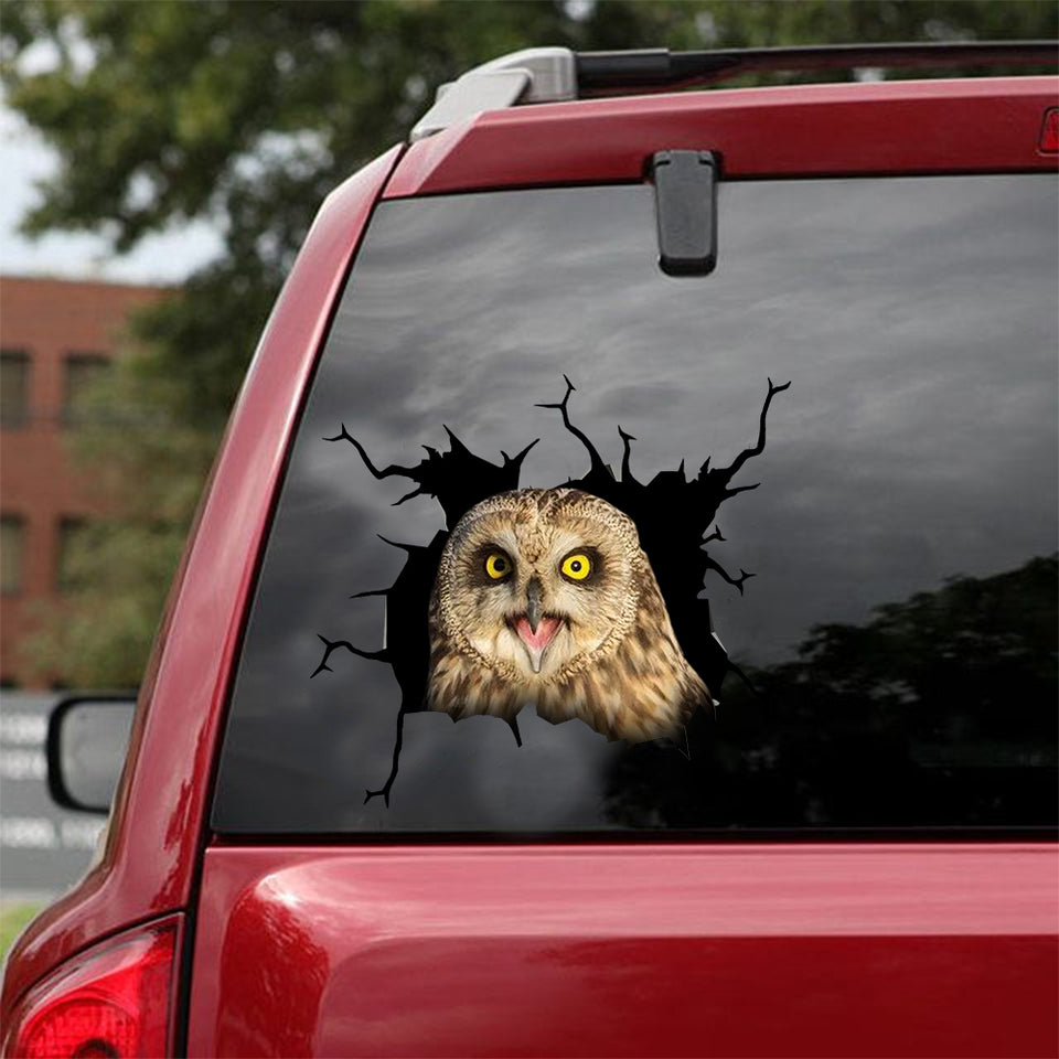 [dt0578-snf-tnt]-owl-crack-car-sticker-birds-lover