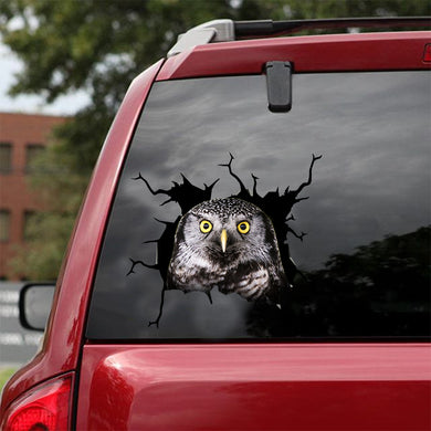 [dt0579-snf-tnt]-owl-crack-car-sticker-birds-lover