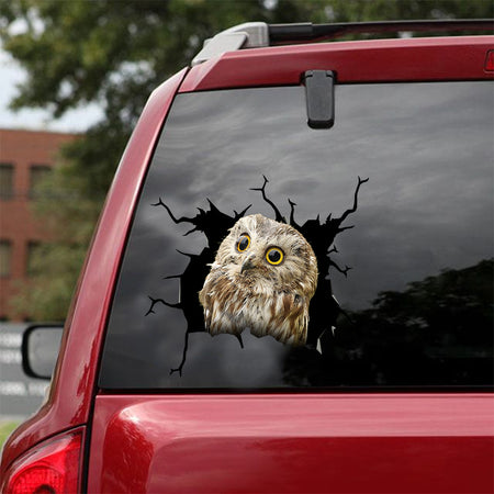[dt0580-snf-tnt]-owl-crack-car-sticker-birds-lover