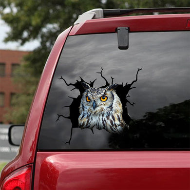[dt0581-snf-tnt]-owl-crack-car-sticker-birds-lover