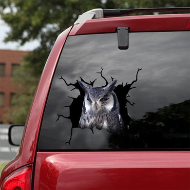 [dt0582-snf-tnt]-owl-crack-car-sticker-birds-lover