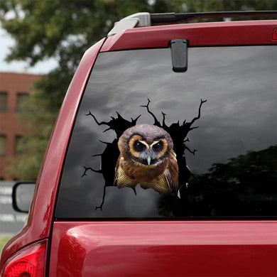 [dt0583-snf-tnt]-owl-crack-car-sticker-birds-lover