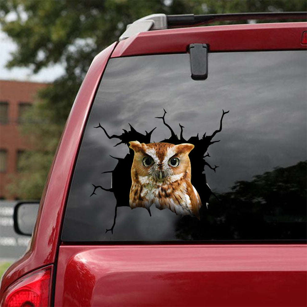[dt0584-snf-tnt]-owl-crack-car-sticker-birds-lover