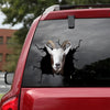 [dt0596-snf-tnt]-goat-crack-car-sticker-farm-animals-lover