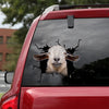 [dt0599-snf-tnt]-cashmere-goat-crack-car-sticker-farm-animals-lover