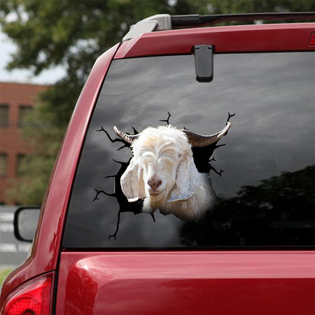 [dt0603-snf-tnt]-cashmere-goat-crack-car-sticker-farm-animals-lover