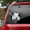 [dt0610-snf-tnt]-nigerian-dwarf-goat-crack-car-sticker-farm-animals-lover