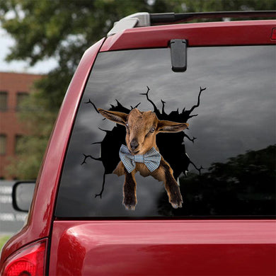 [dt0611-snf-tnt]-pygmy-goat-crack-car-sticker-farm-animals-lover