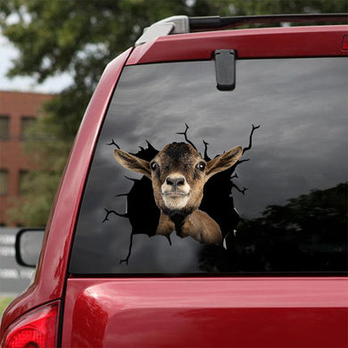 [dt0613-snf-tnt]-pygmy-goat-crack-car-sticker-farm-animals-lover