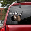 [dt0617-snf-tnt]-tennessee-fainting-goat-crack-car-sticker-farm-animals-lover