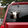 [dt0619-snf-tnt]-kiko-goat-crack-car-sticker-farm-animals-lover