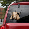 [dt0620-snf-tnt]-kiko-goat-crack-car-sticker-farm-animals-lover