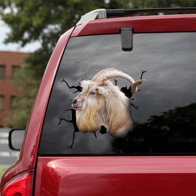 [dt0621-snf-tnt]-kiko-goat-crack-car-sticker-farm-animals-lover