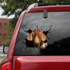 [dt0625-snf-tnt]-boer-goat-crack-car-sticker-farm-animals-lover